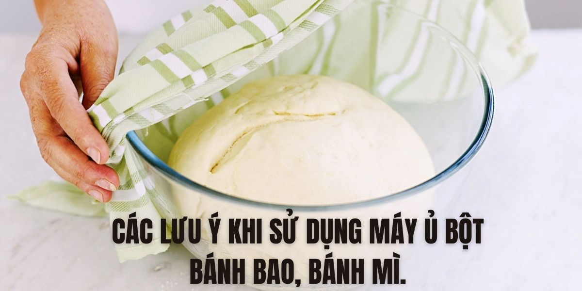 Các lưu ý khi sử dụng máy ủ bột bánh bao, bánh mì