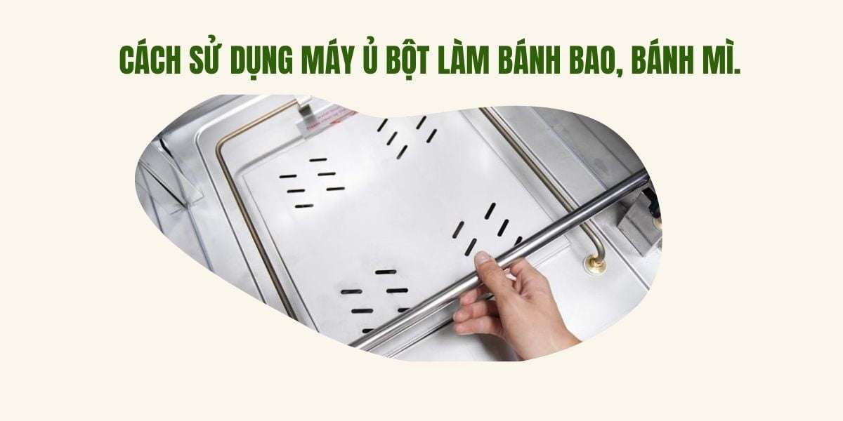 Cách sử dụng máy ủ bột làm bánh bao, bánh mì