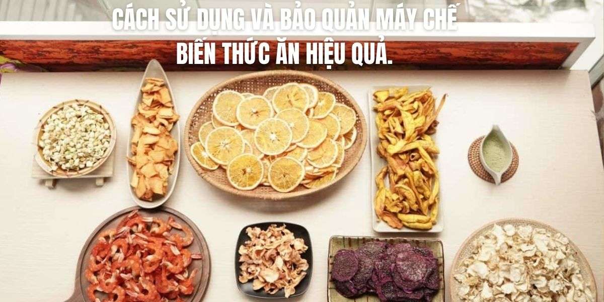 Cách sử dụng và bảo quản máy chế biến thức ăn hiệu quả