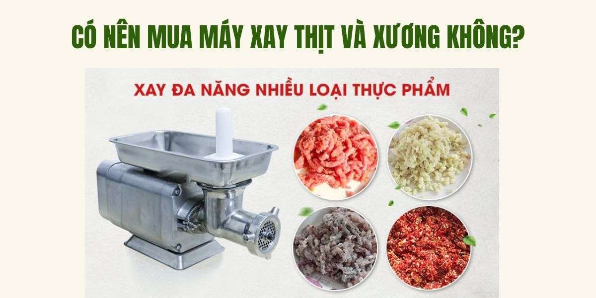 Có nên mua máy xay thịt và xương không