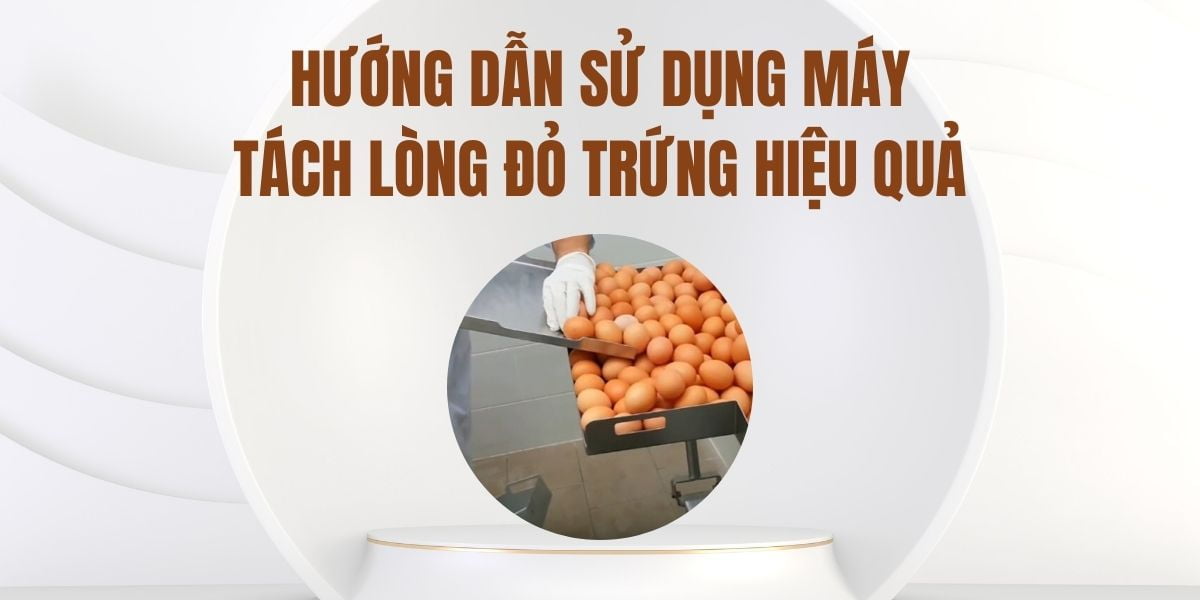 Hướng dẫn sử dụng máy tách lòng đỏ trứng hiệu quả