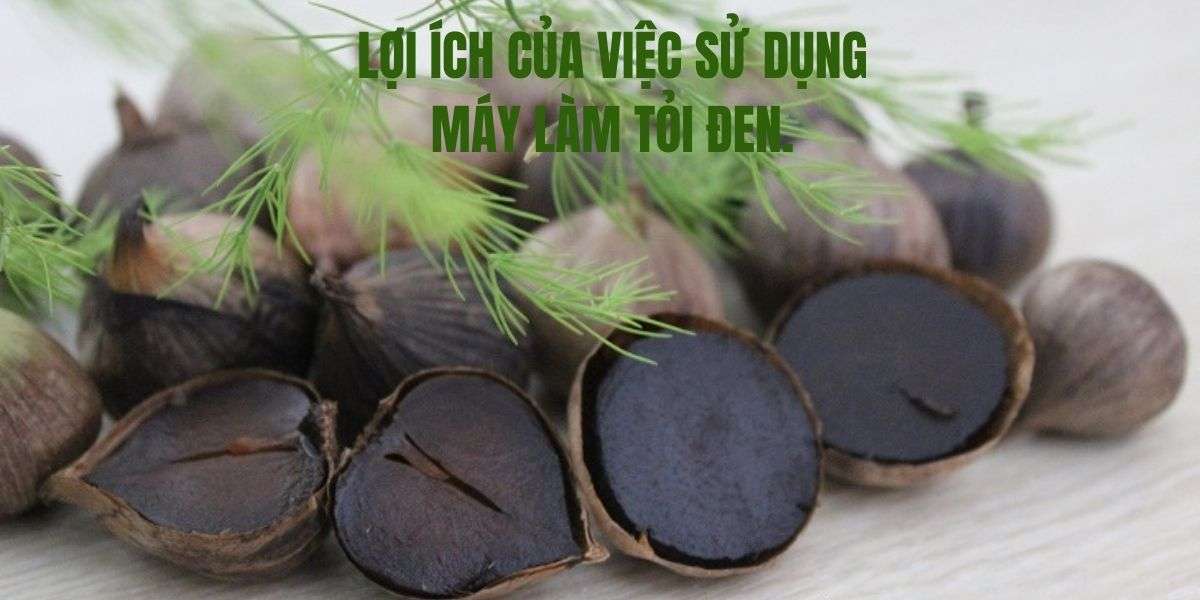 Lợi ích của việc sử dụng máy làm tỏi đen