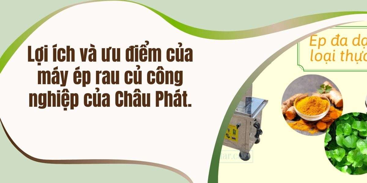 Lợi ích và ưu điểm của máy ép rau củ công nghiệp của Châu Phát