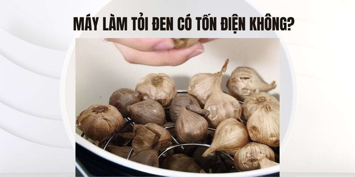 Máy làm tỏi đen có tốn điện không