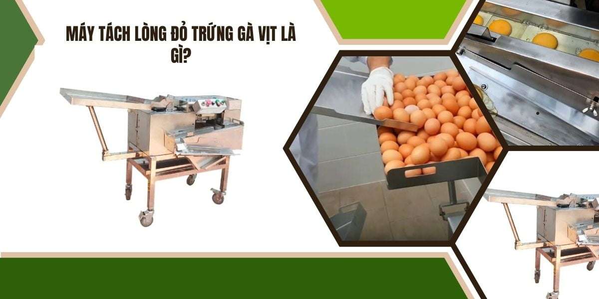 Máy tách lòng đỏ trứng gà vịt là gì