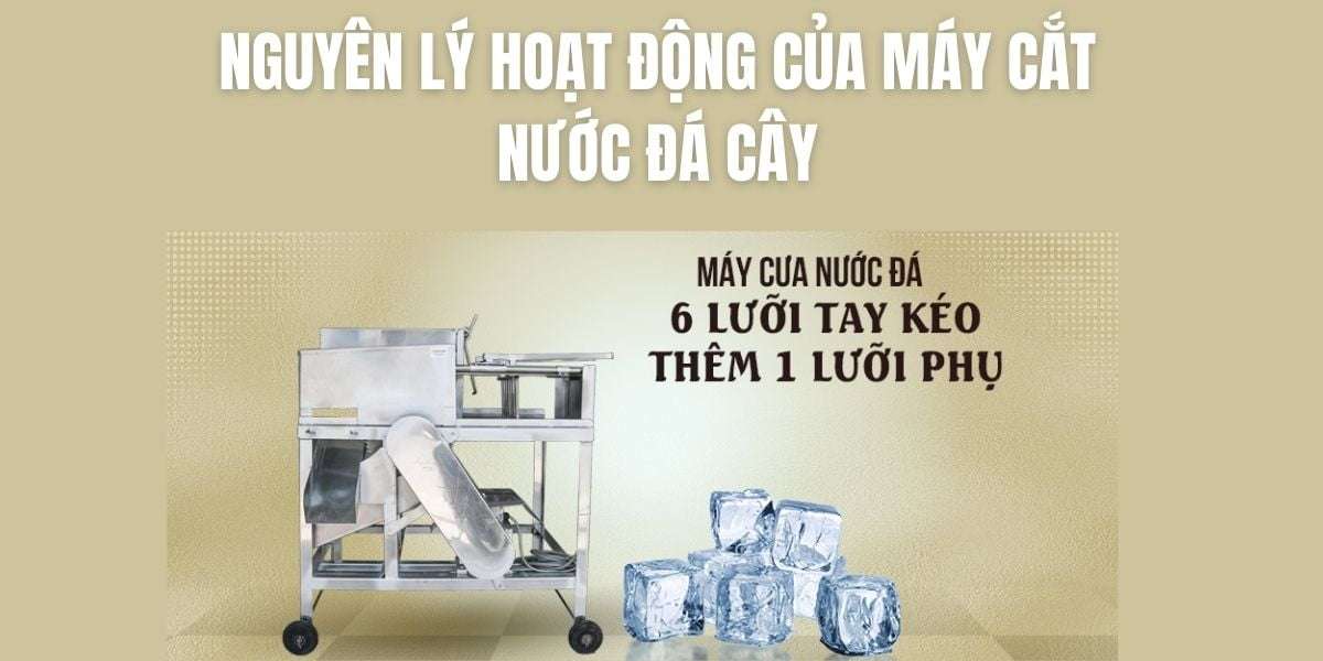 Nguyên lý hoạt động của máy cắt nước đá cây