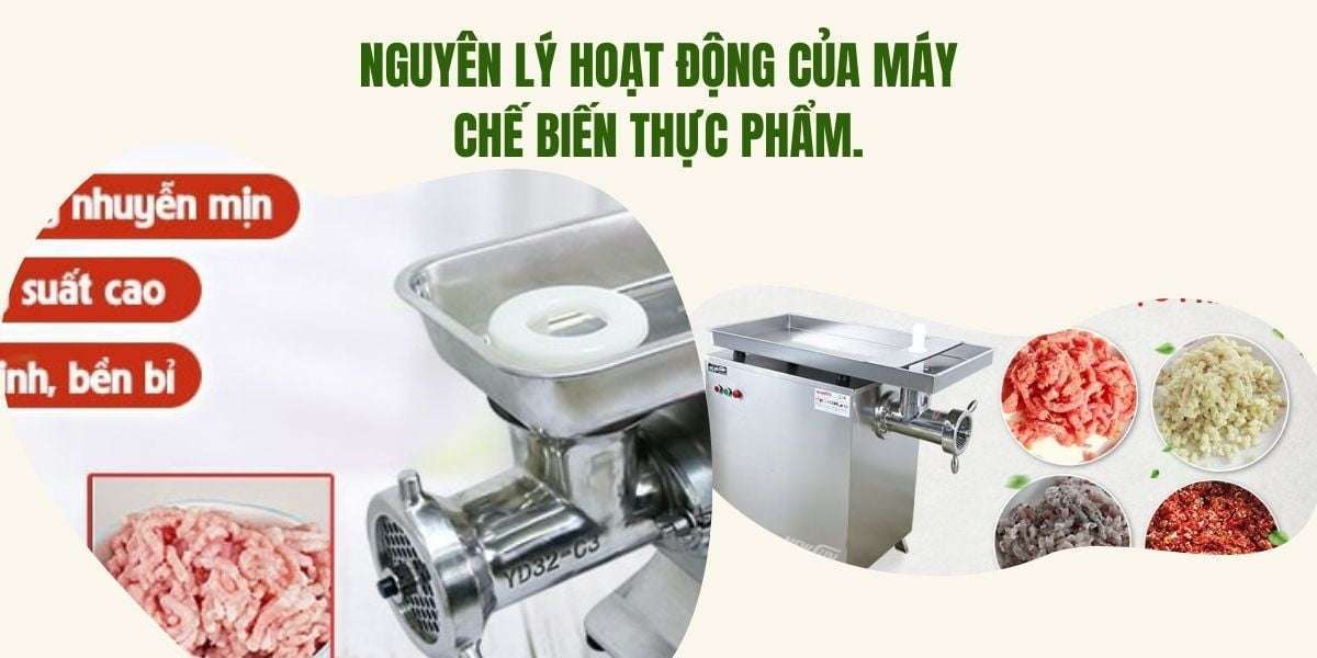 Nguyên lý hoạt động của máy chế biến thực phẩm