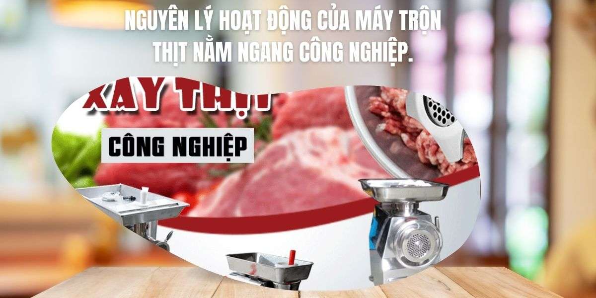 Nguyên lý hoạt động của máy trộn thịt nằm ngang công nghiệp