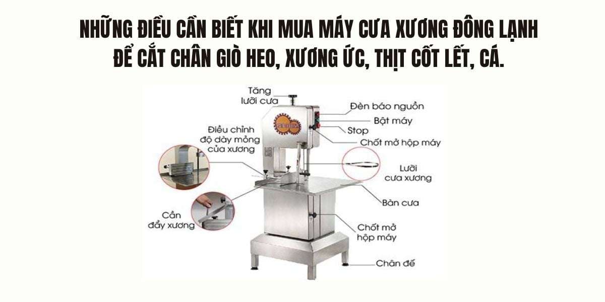 Những điều cần biết khi mua máy cưa xương đông lạnh để cắt chân giò heo, xương ức, thịt cốt lết, cá