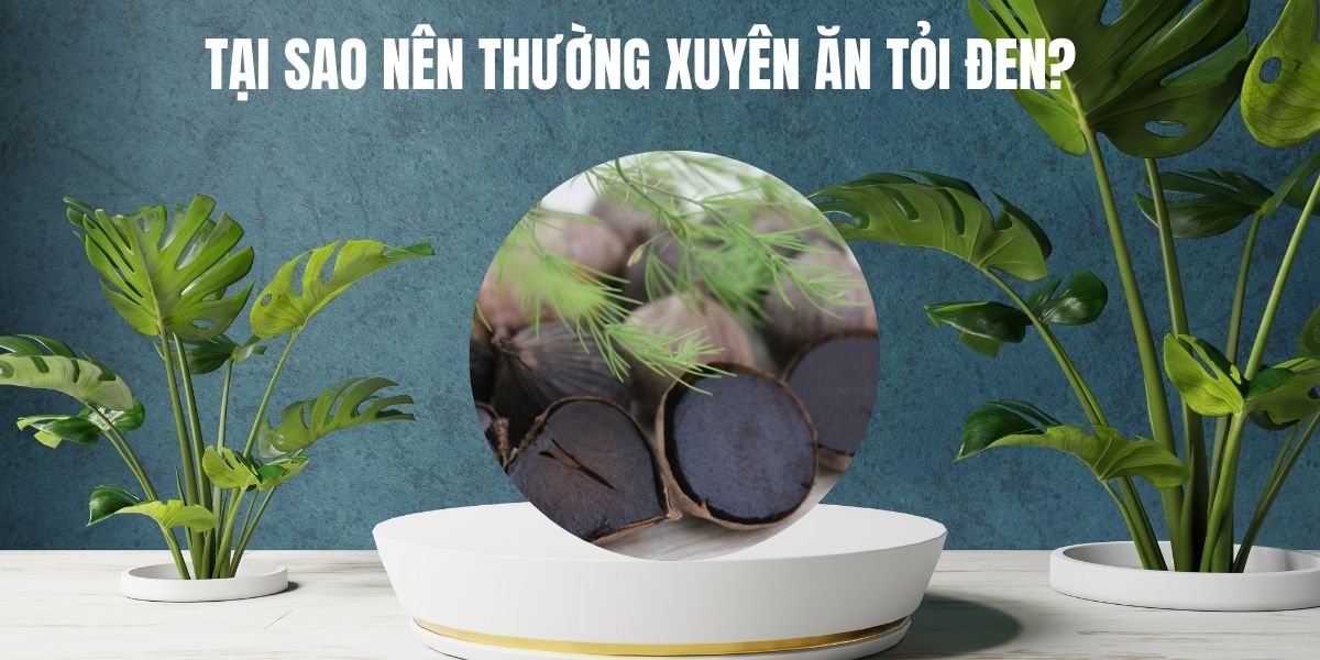 Tại sao nên thường xuyên ăn tỏi đen