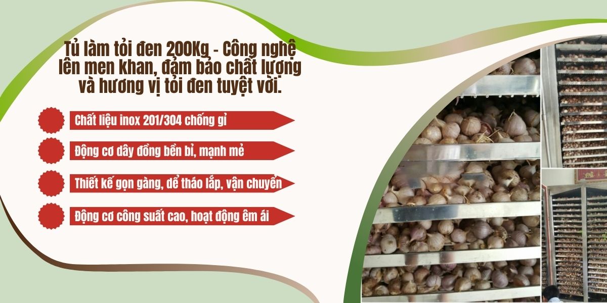 Tủ làm tỏi đen 200Kg - Công nghệ lên men khan, đảm bảo chất lượng và hương vị tỏi đen tuyệt vời Tủ làm tỏi đen 200Kg - Công nghệ lên men khan, đảm bảo chất lượng và hương vị tỏi đen tuyệt vời