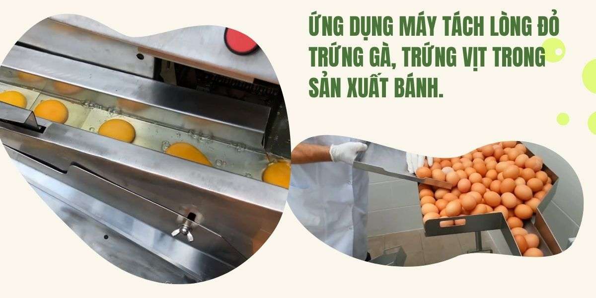 Ứng dụng máy tách lòng đỏ trứng gà, trứng vịt trong sản xuất bánh