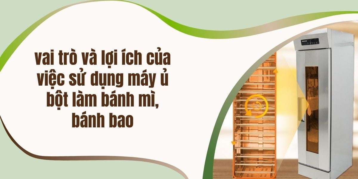 vai trò và lợi ích của việc sử dụng máy ủ bột làm bánh mì, bánh bao